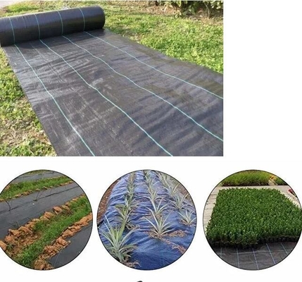 টেকসই ভারী দায়িত্ব উচ্চ অভ্যন্তরীণতা বাগান Weeding কাপড় Woven Anti-Grass Ground Cover Weeding Mat