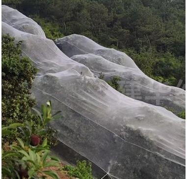 সবুজ কাস্টমাইজড বাগ পোকামাকড় সুরক্ষা ফলের গাছের জন্য ফসল নেট উদ্ভিজ্জ বাগান হাউস কারখানা