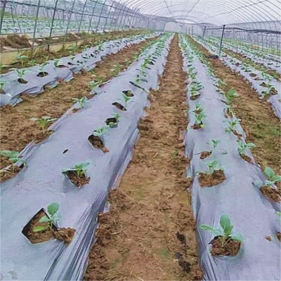 কৃষি আগাছা জন্য মালচ ফিল্ম মাটির তাপমাত্রা এবং আর্দ্রতা ধরে রাখা V6